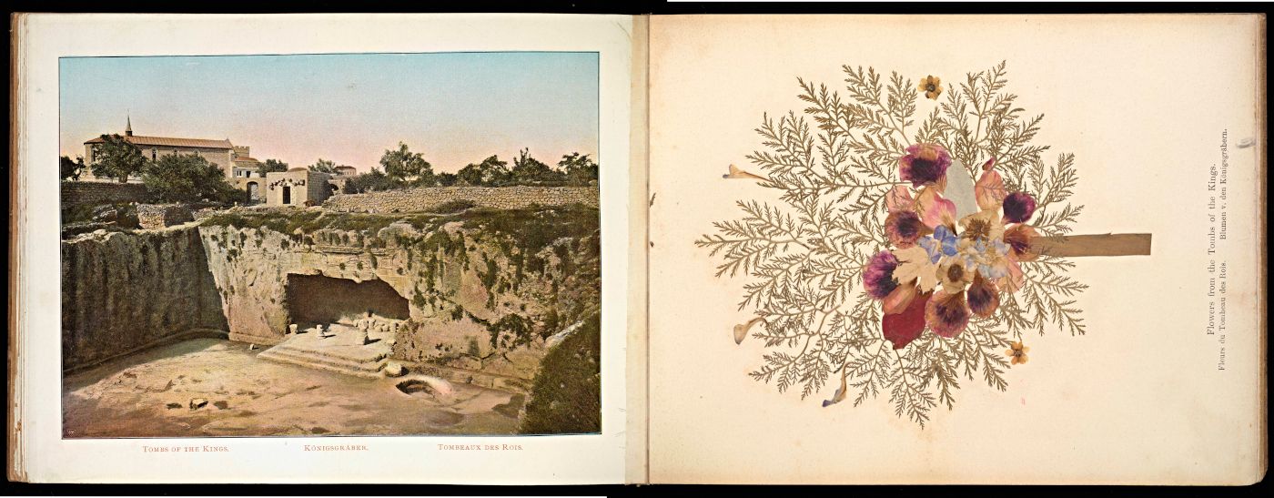 Open album page with a vintage photograph of an ancient ruin on the left and a pressed plant specimen on the right.
