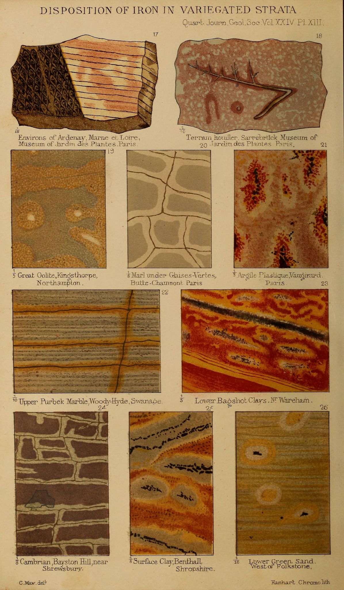 A plate from a geological publication titled "Disposition of Iron in Variegated Strata." It features a grid of 18 square or rectangular samples of various geological formations, each with a number and descriptive label.