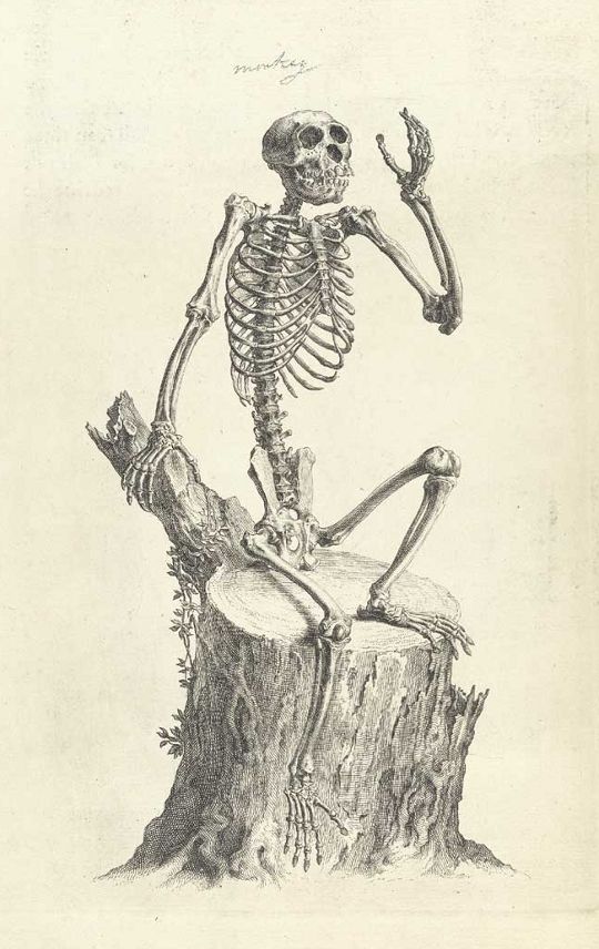 A vintage illustration of a skeleton sitting on a tree stump with the word 'murder' written above it.