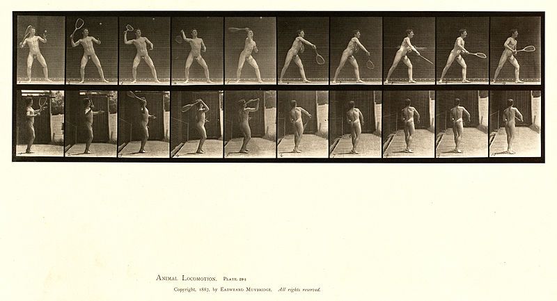 A series of sequential black and white photographs documenting the motion of a nude man playing tennis. The images are arranged in a grid-like format, capturing the different stages of his swing. Text at the bottom reads "ANIMAL LOCOMOTION. Plate 292." and copyright information.