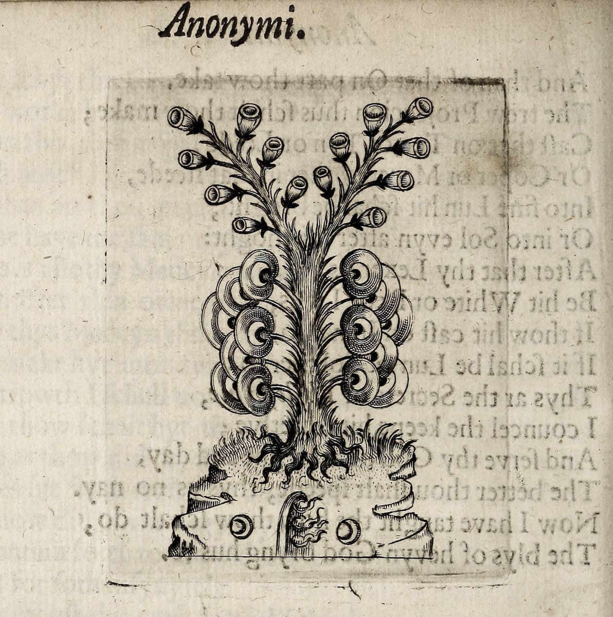 A page from an old book with an ornate illustration in the center.