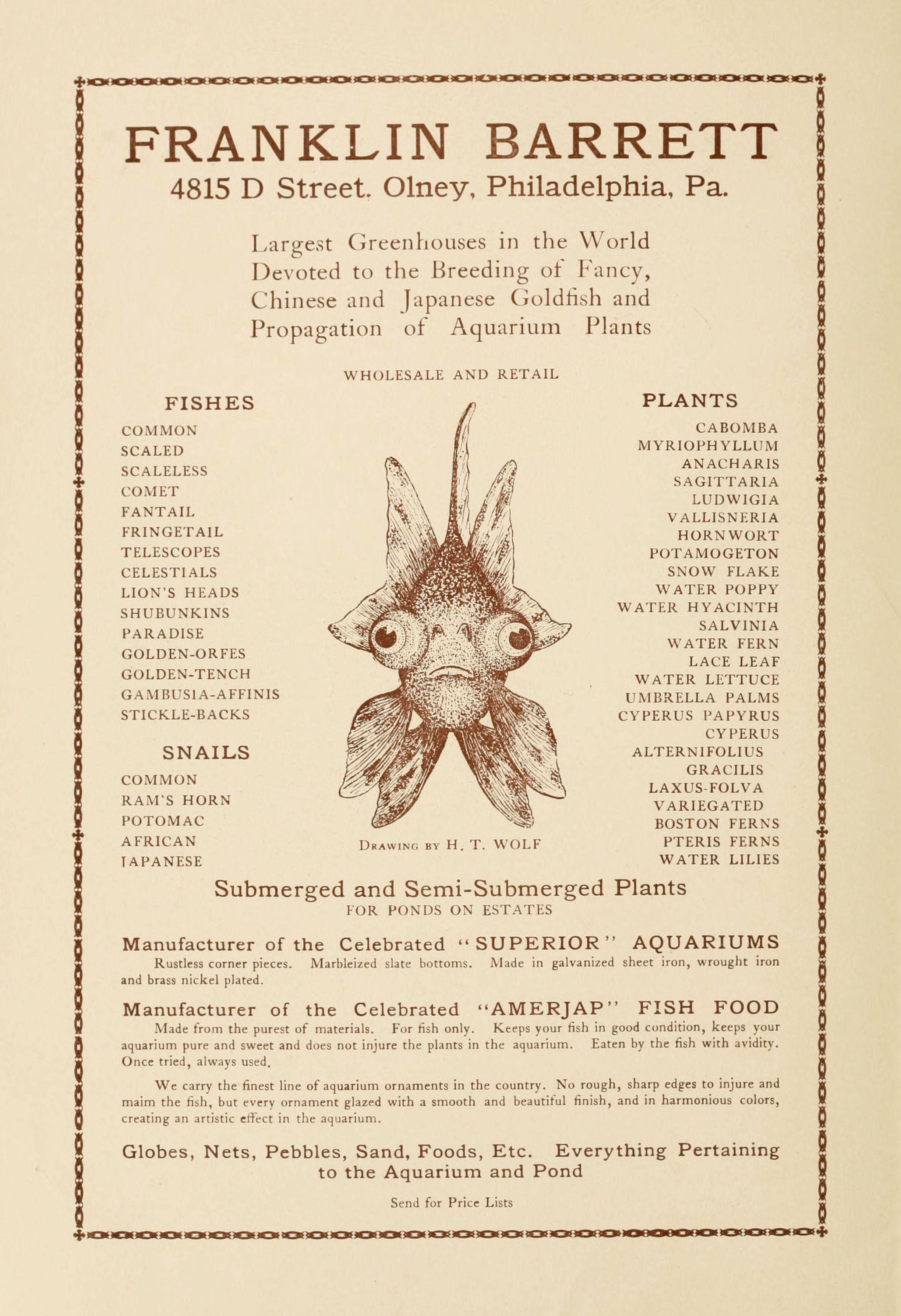 Vintage advertisement for Franklin Barrett, a business specializing in goldfish and aquarium plants. The ad is formatted as a list and is printed on a cream-colored background with decorative borders.
