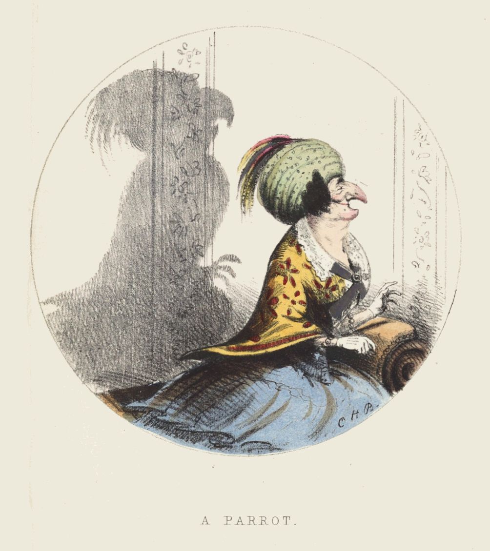 A vintage lithograph depicting a woman with a parrot-like face and a flamboyant dress, with a shadowy parrot silhouette visible through a window behind her. The text “A PARROT.” is printed below the image.