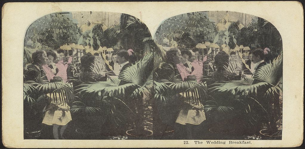 Stereoscope card depicting a wedding breakfast scene with people gathered around tables amidst palm trees.