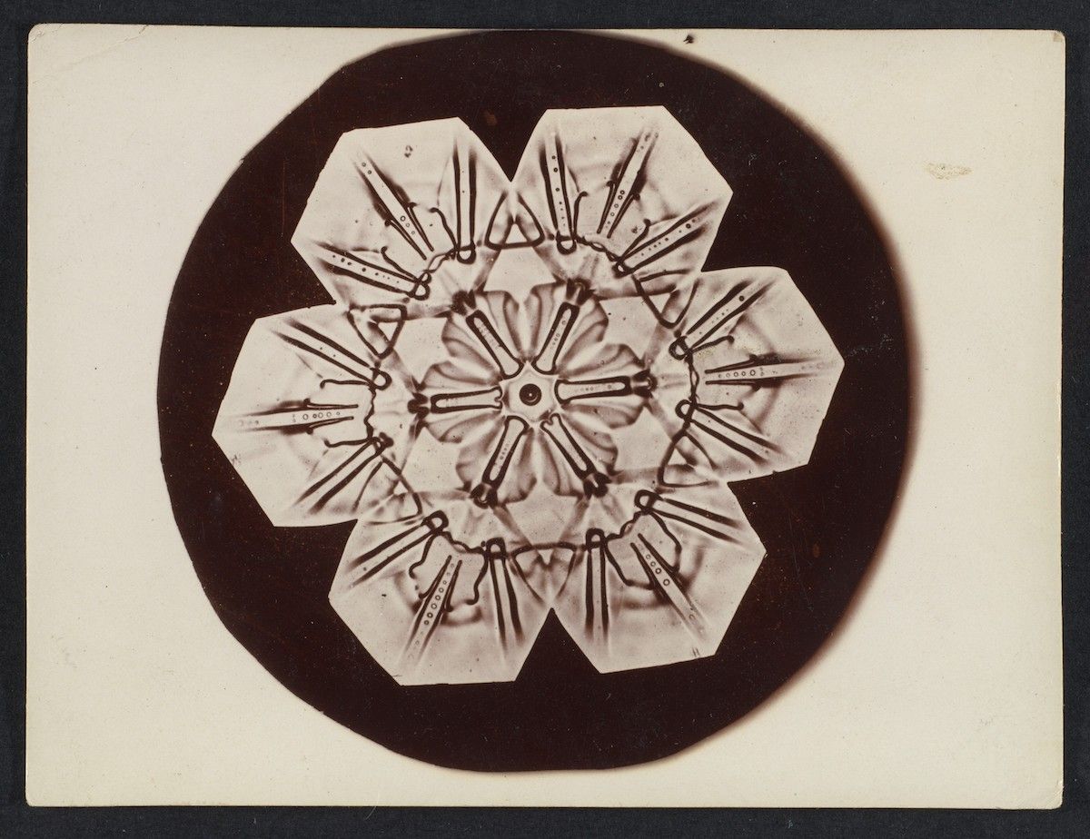 A black and white photograph of a snowflake with a complex pattern of branching arms and intricate crystalline structures.