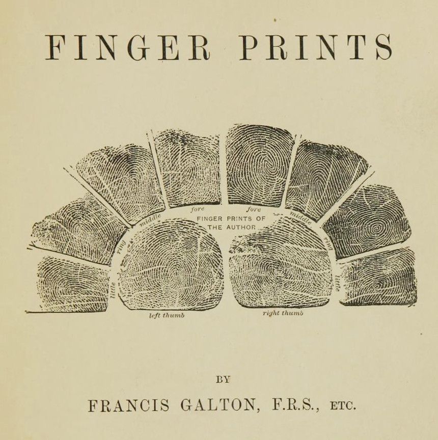 Vintage illustration of fingerprints from a book by Francis Galton.
