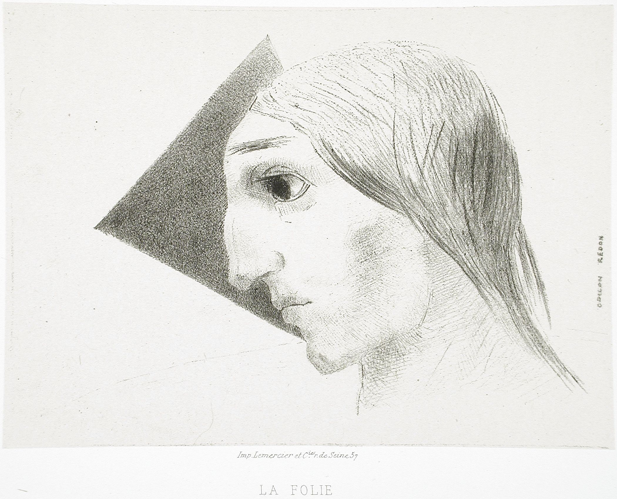 A black and white drawing of a person's head and shoulders, with a dramatic shadow covering part of their face. The text 'LA FOLIE' is written below the image.