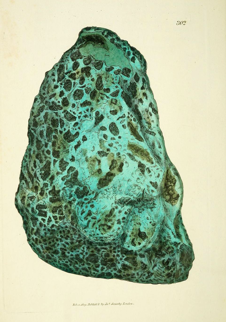 Vintage illustration of a teal and black rock specimen with numerous circular indentations.