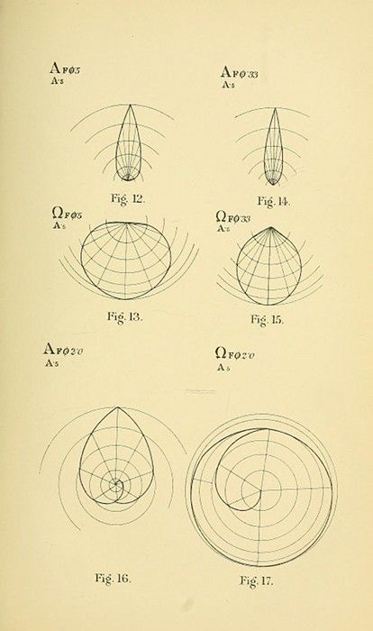 scientific illustration with geometric shapes and curves