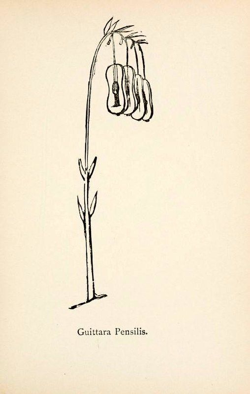 Vintage botanical illustration of Guittara Pensilis, a plant with arching stem, lance-shaped leaves, and hanging bell-shaped flowers.