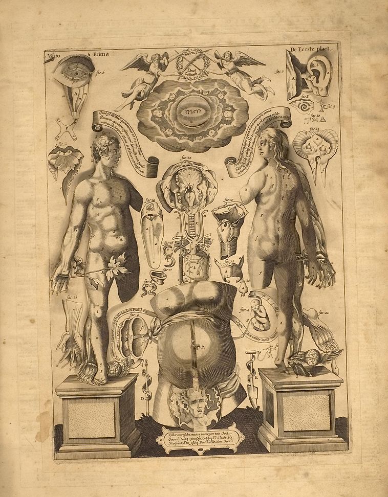 Detailed antique engraving of human anatomy with internal organs exposed, celestial scene with angels, and anatomical instruments.