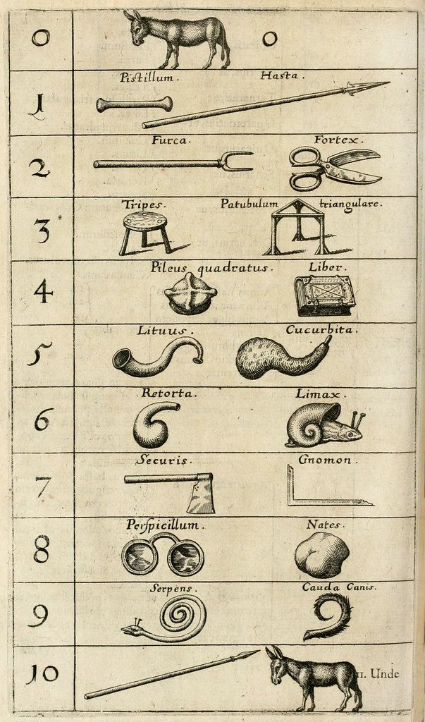 Vintage scientific illustration with a grid of labeled diagrams.