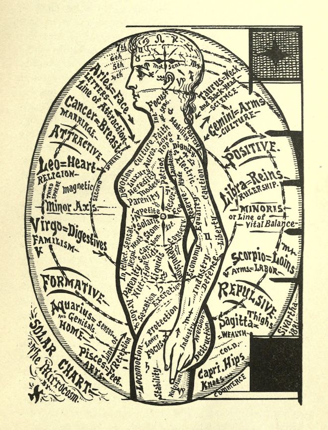 A vintage black and white diagram of a human figure overlaid with astrological signs and associated characteristics.