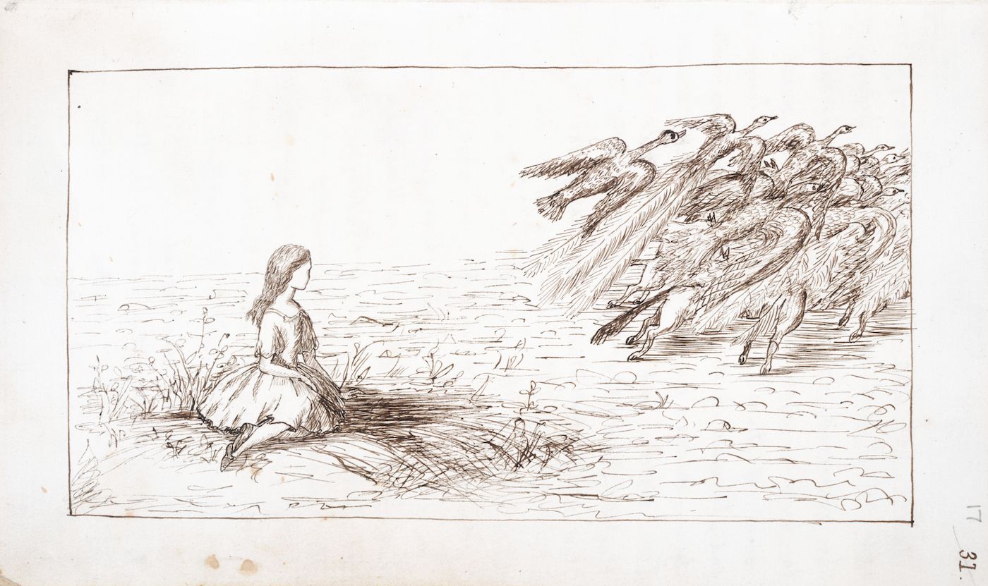 A vintage pen and ink drawing of a young girl facing a large flock of birds in a field of grass.