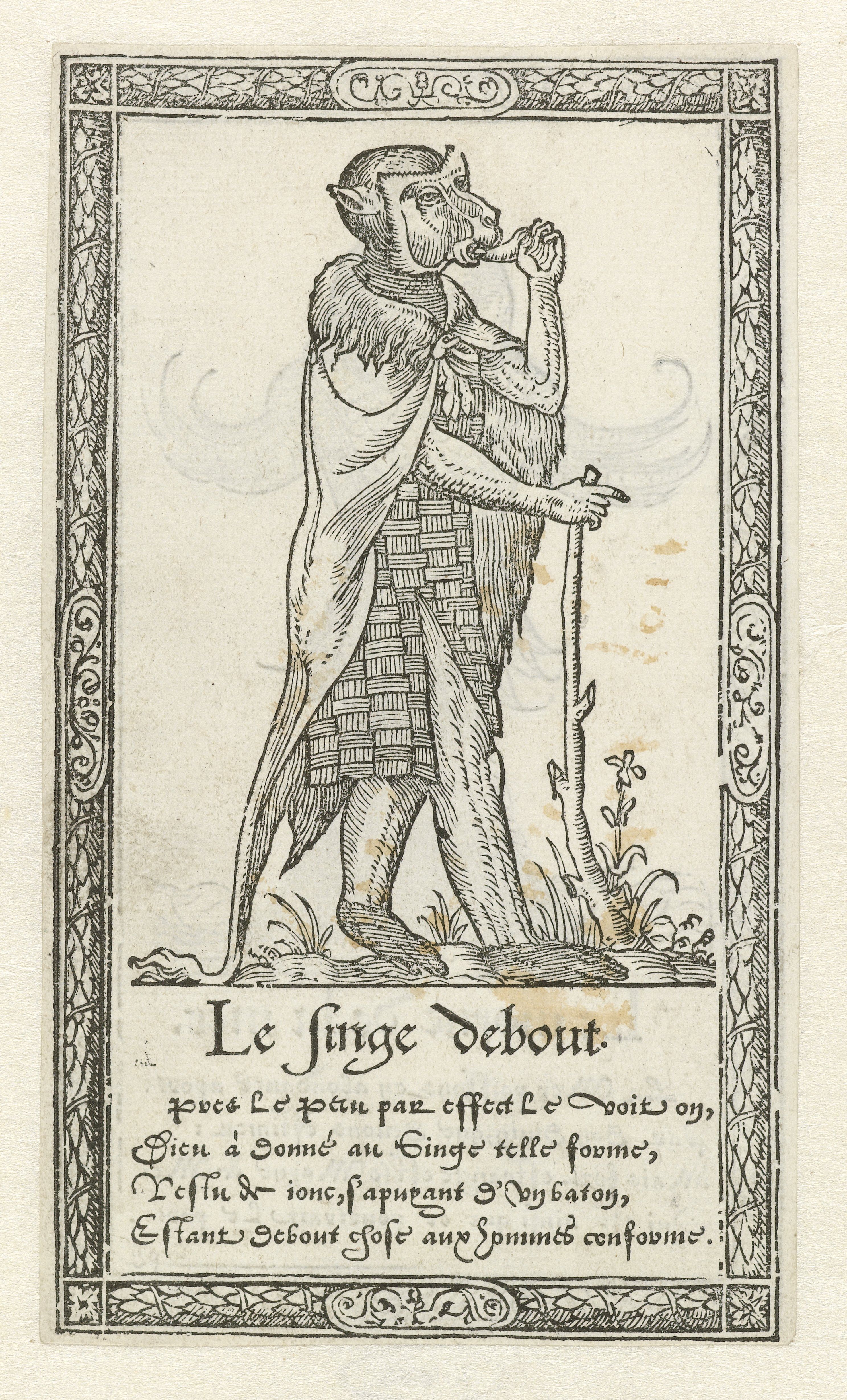 Vintage woodcut print of a standing ape wearing a checkered tunic, with text below and an ornate border.