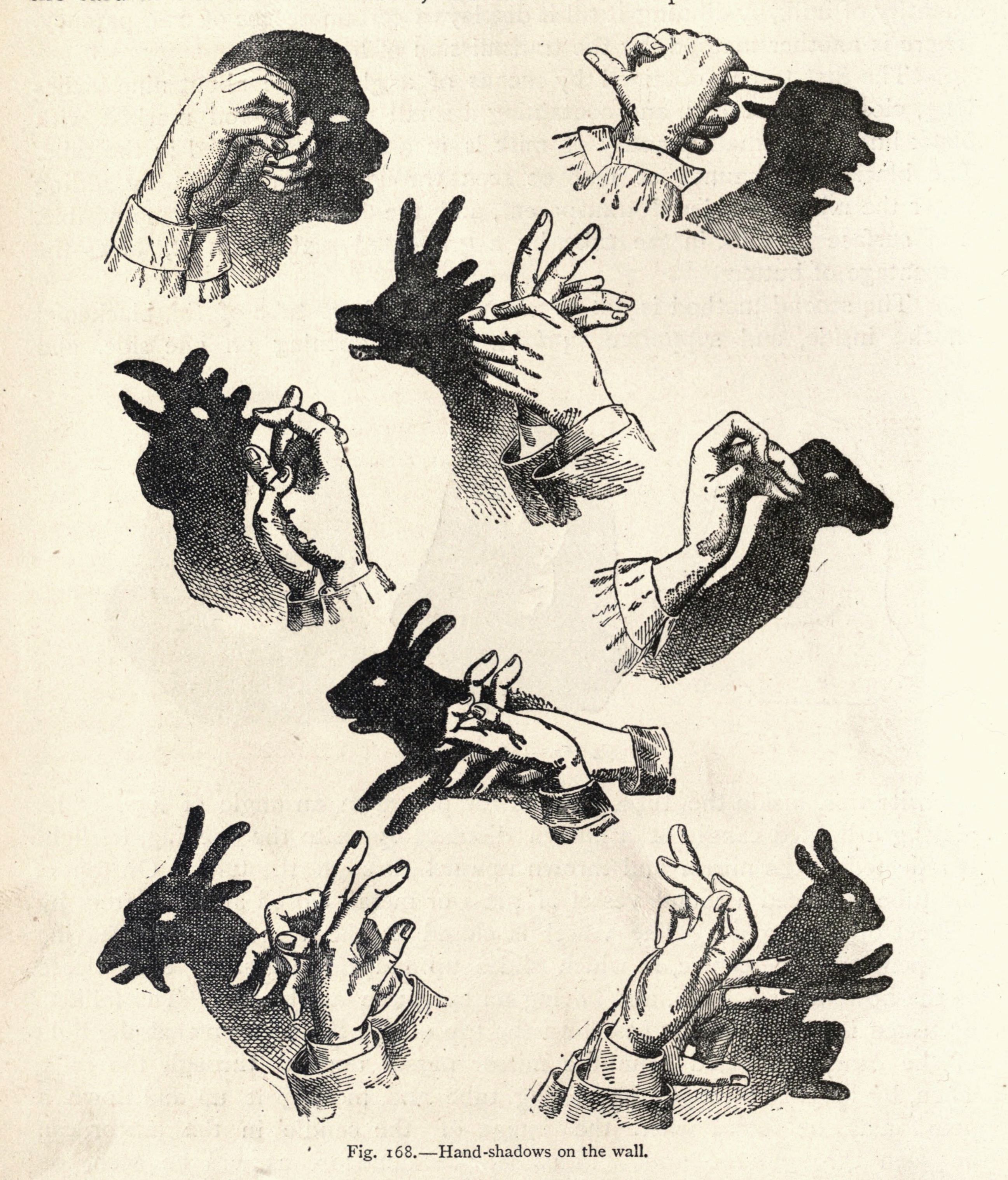 A vintage illustration of hand shadows on a wall, depicting various animal shapes like dogs, ducks, rabbits, and geese. The shadows are created by manipulating hands in front of a light source, and the image is rendered in a detailed, cross-hatched style.
