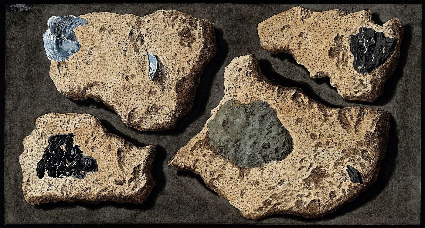Five irregularly shaped, tan-colored rocks or stone fragments, each containing a dark, metallic-looking meteorite fragment embedded within.