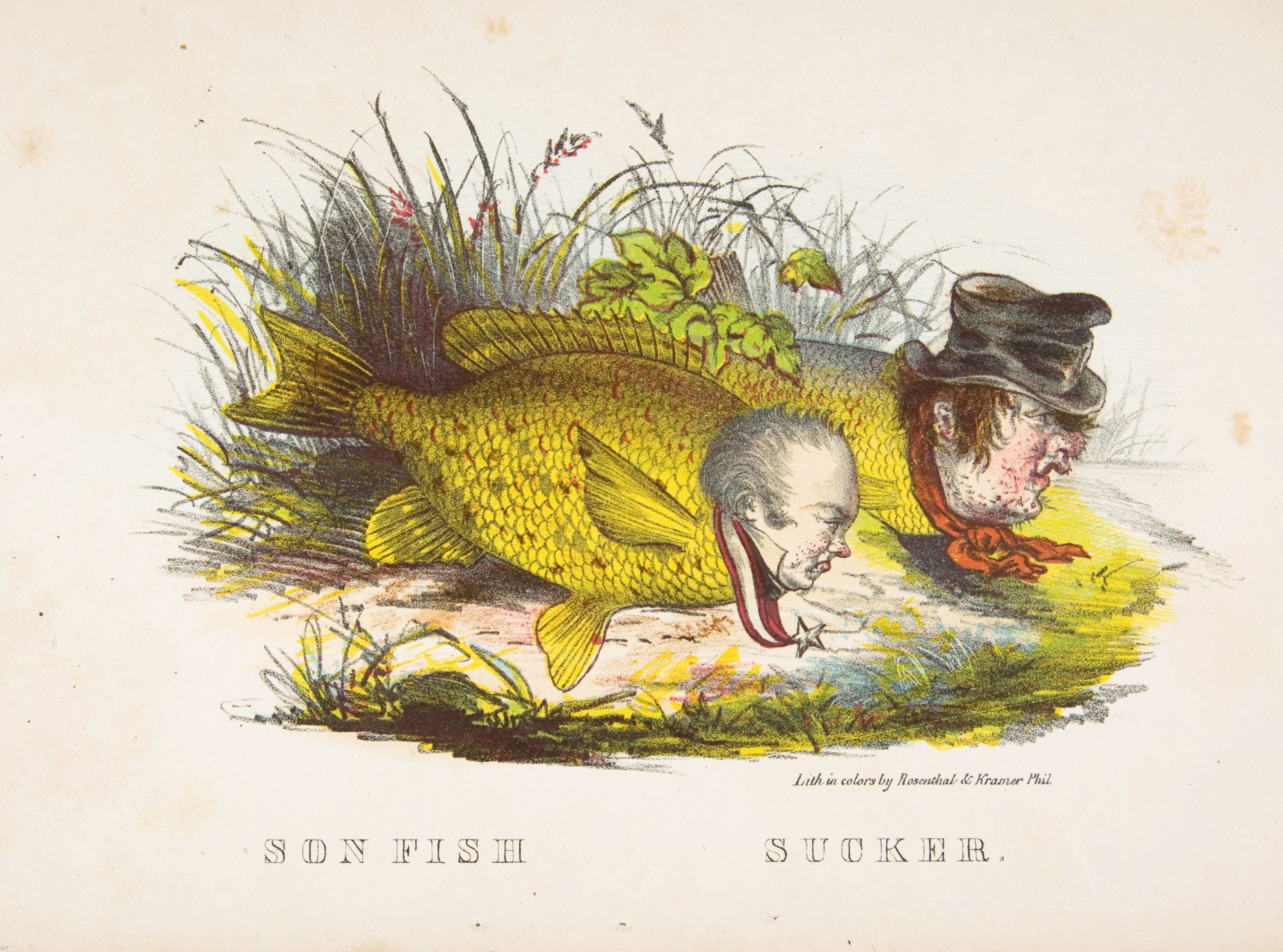 A vintage illustration of a sunfish and a man labeled 'Sucker' with an extended tongue.