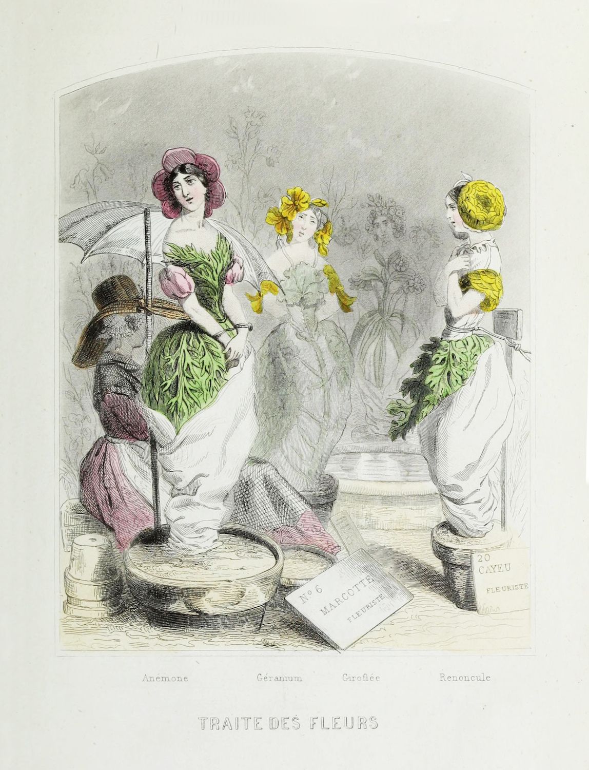 Vintage illustration of three women with flowers, labeled 'Anemone', 'Geranium', and 'Ranencule'.