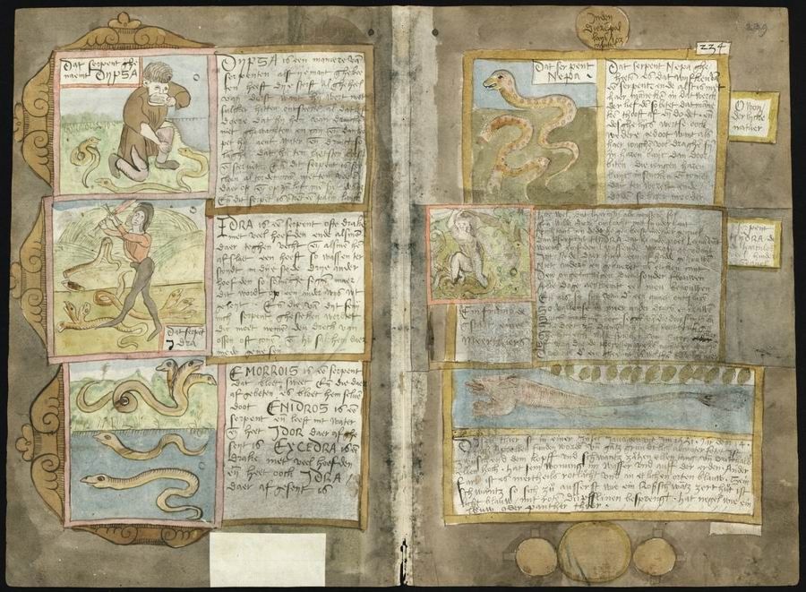 An open page from a medieval manuscript with colorful illustrations of mythical creatures and accompanying text.