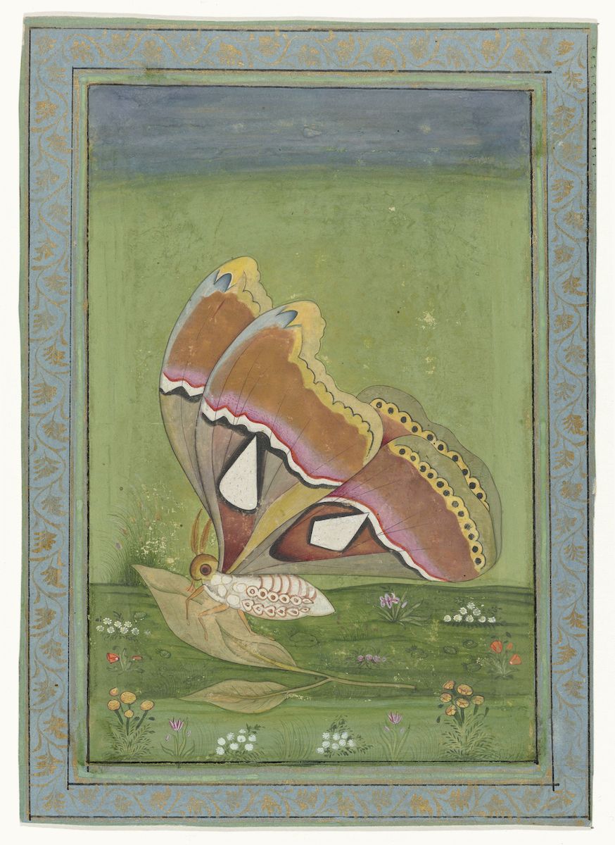 A detailed painting of a butterfly resting on a leaf, set against a muted green background.