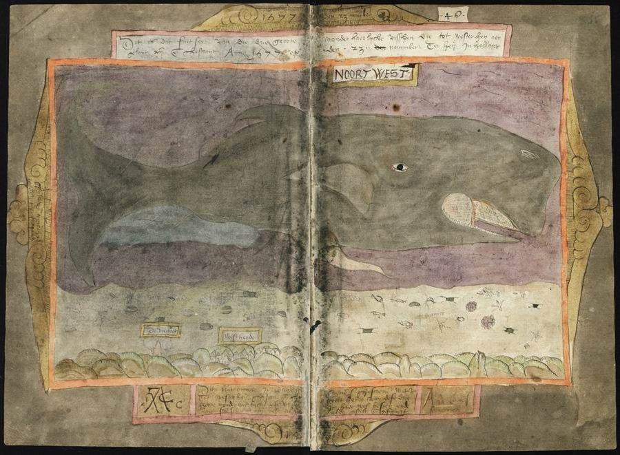 Antique two-page spread with a detailed illustration of a whale swimming in a sea, surrounded by ornate borders and old script text.