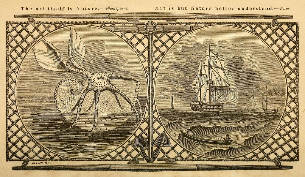 A vintage black and white engraving of a stereoscope view. The left side shows a large spider, and the right side depicts a seascape with a sailing ship and lighthouse.