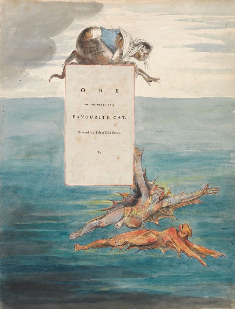 Watercolor painting of a cat falling towards a frame with text about a cat drowning in a tub of goldfish.
