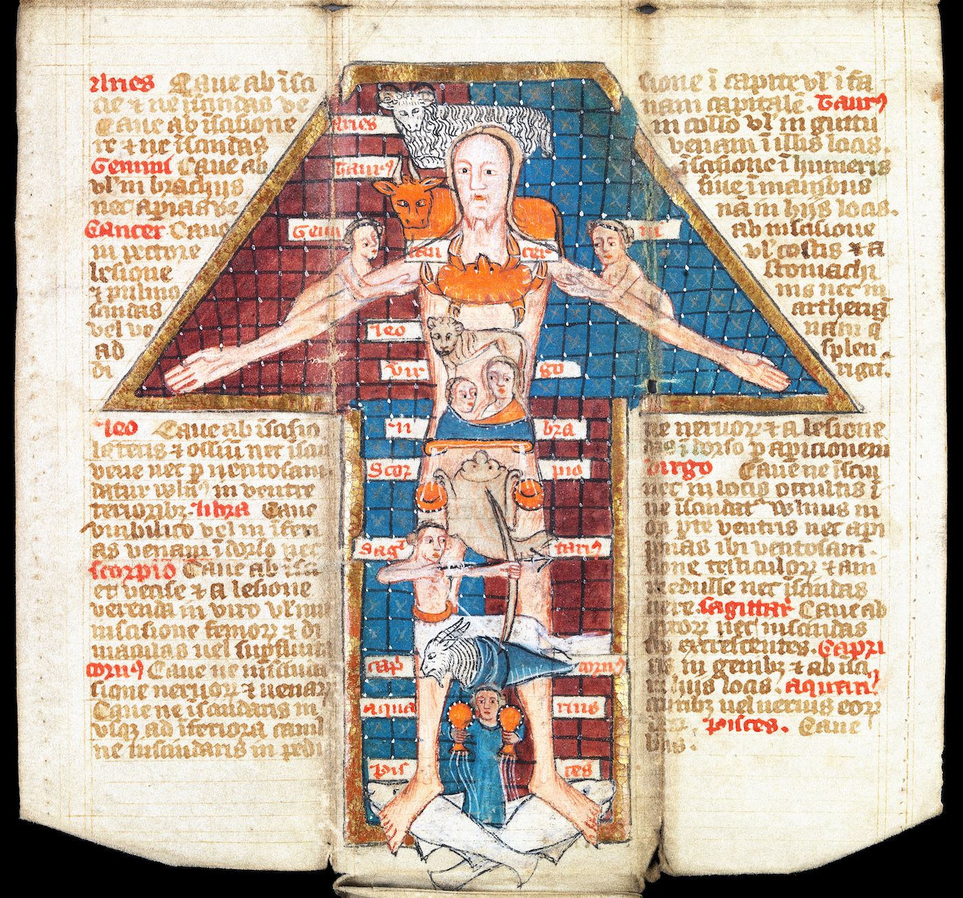 A medieval manuscript illustration depicting a nude man with zodiac signs and text surrounding his body.
