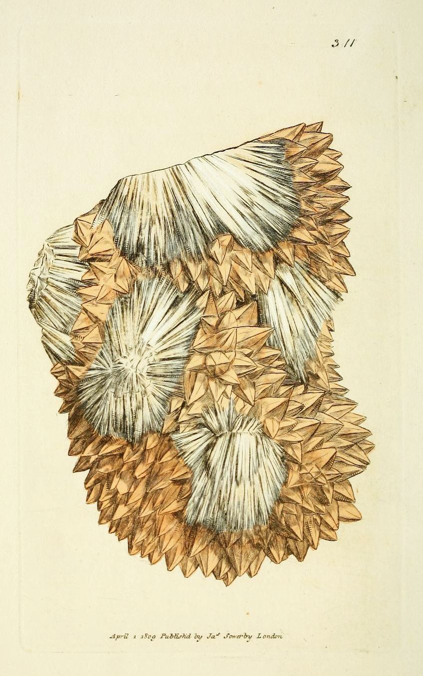 Vintage illustration of a golden-brown crystal formation with detailed cross-hatching, published in 1809.