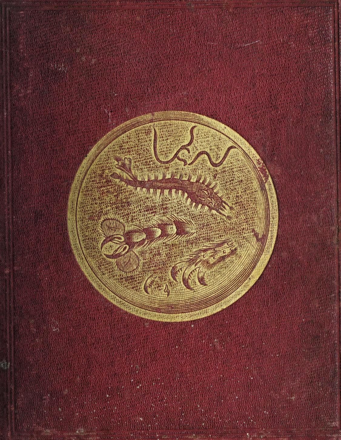 Close-up of a vintage book cover with a circular gold design featuring a dragon or serpentine creature.
