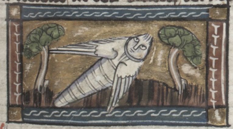Medieval manuscript illustration of a bird with a human face between two trees, framed by a decorative border.