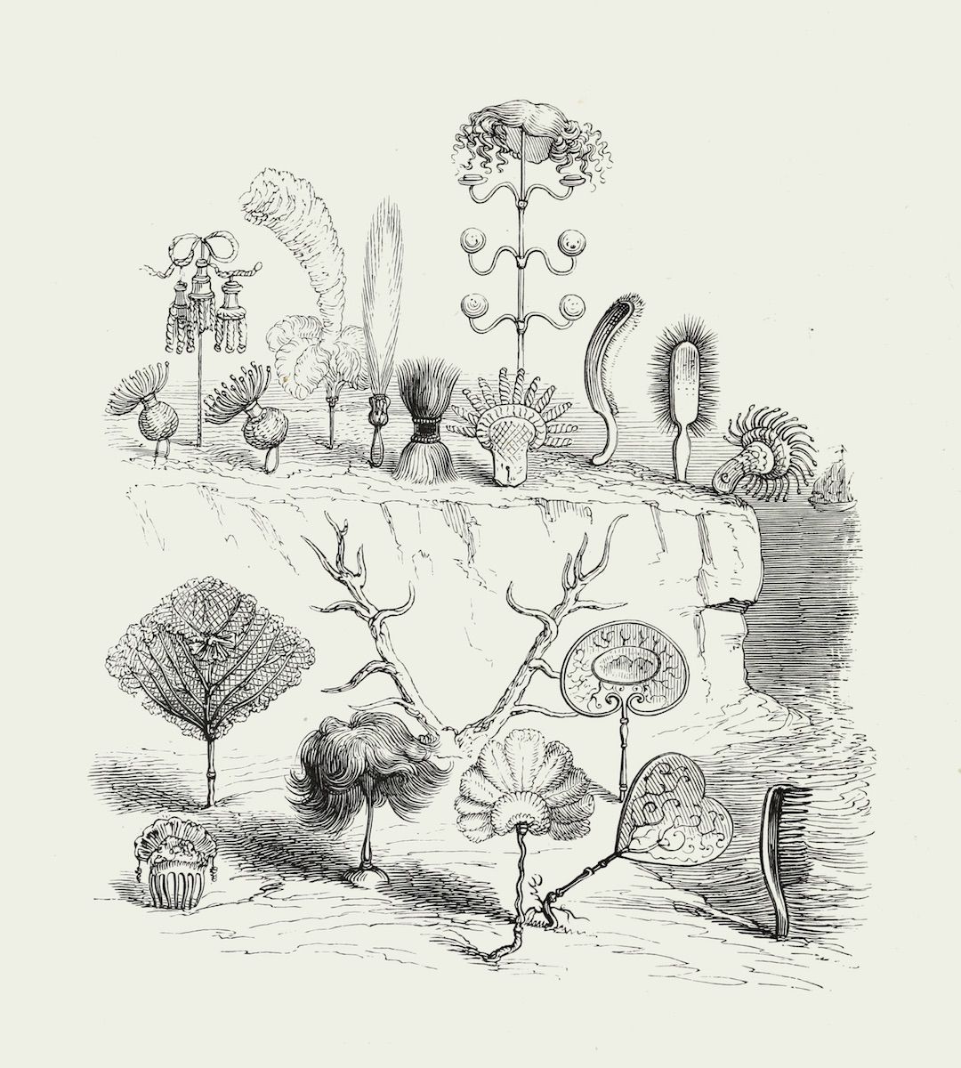 A vintage botanical illustration featuring a collection of fantastical plants with detailed linework and a focus on texture.