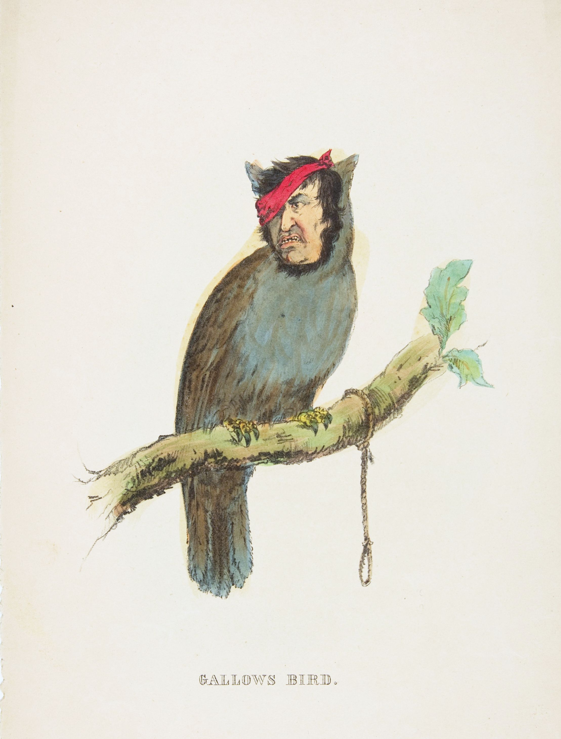 A vintage illustration titled 'Gallows Bird' depicting a bird with a human face perched on a branch with a noose hanging from it.