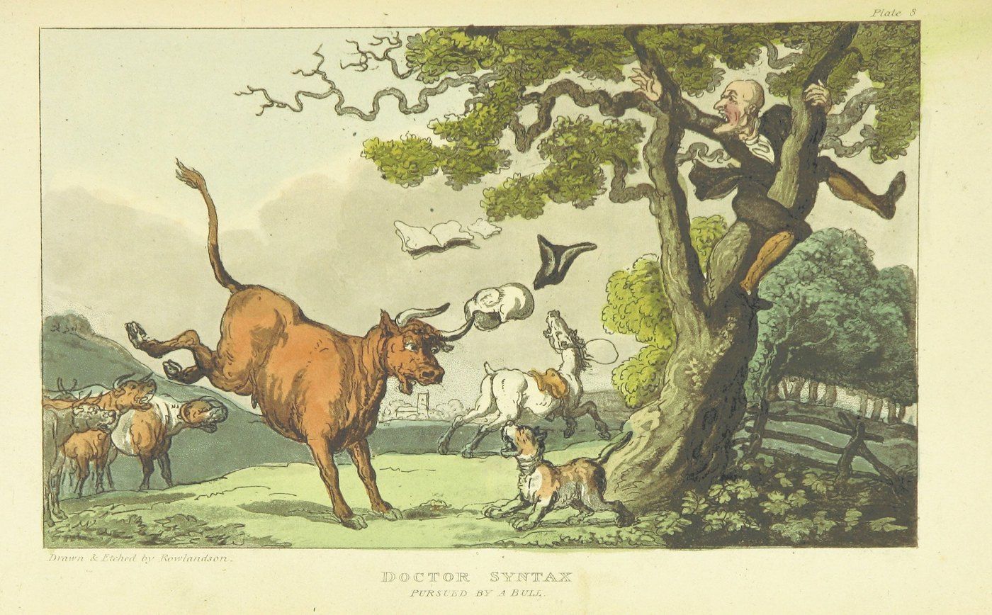 A hand-colored etching titled 'Doctor Syntax Pursued by a Bull' shows a man in a tree being chased by a bull, with dogs and horses fleeing in the background.