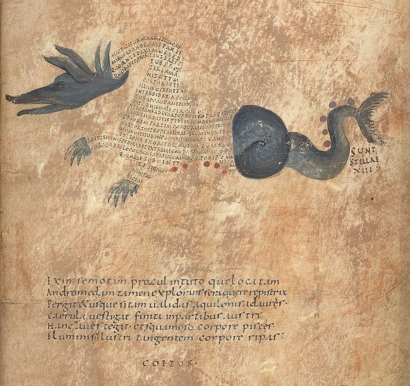 A medieval manuscript page with a dark blue dragon-like creature and Latin text.