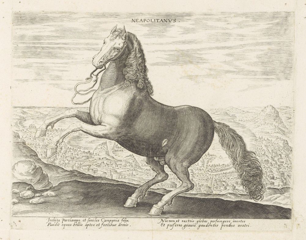 A black and white engraving of a horse rearing up on its hind legs in a rocky landscape.