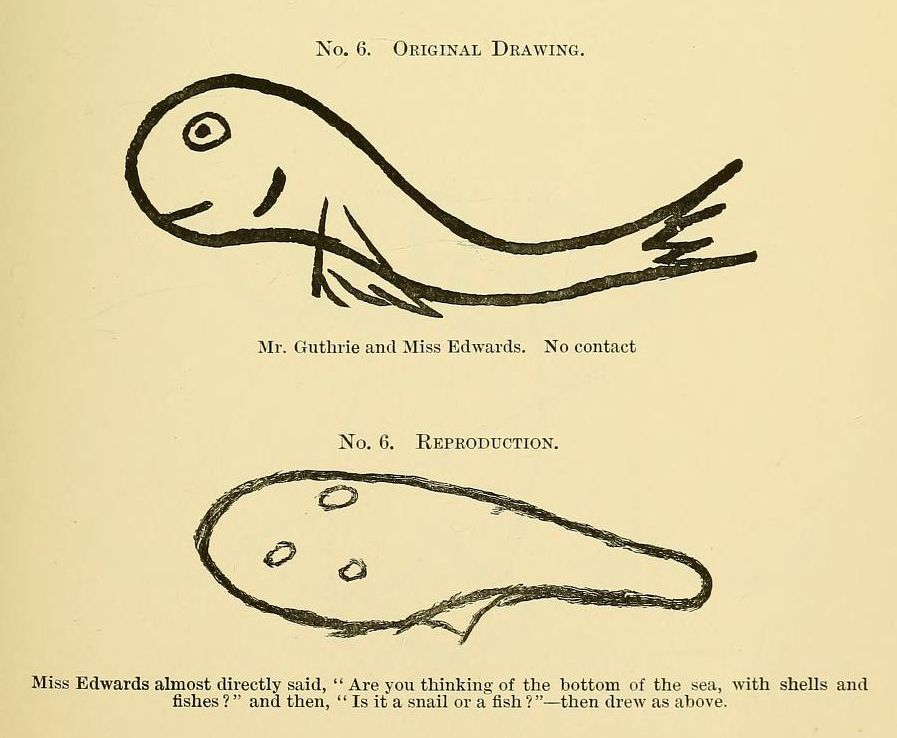 Two hand-drawn sketches labeled 'Original Drawing' and 'Reproduction' depicting an elongated, organic shape resembling a fish or snail.