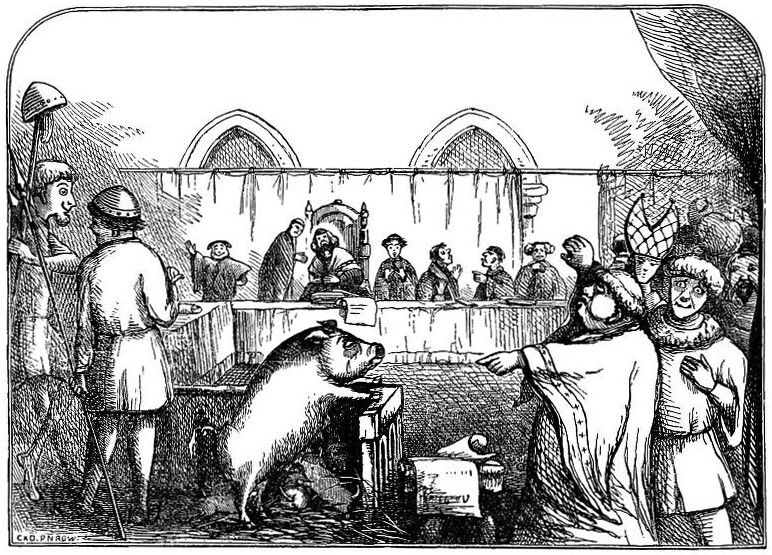 A black and white illustration of a pig being presented to a group of people in a courtroom or hall.