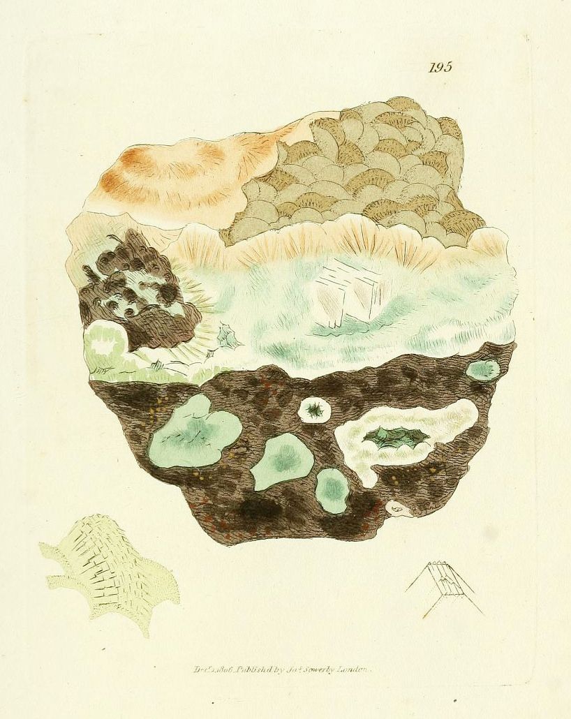 Vintage illustration of a geological cross-section with layers of rock, soil, vegetation, and a cave system.