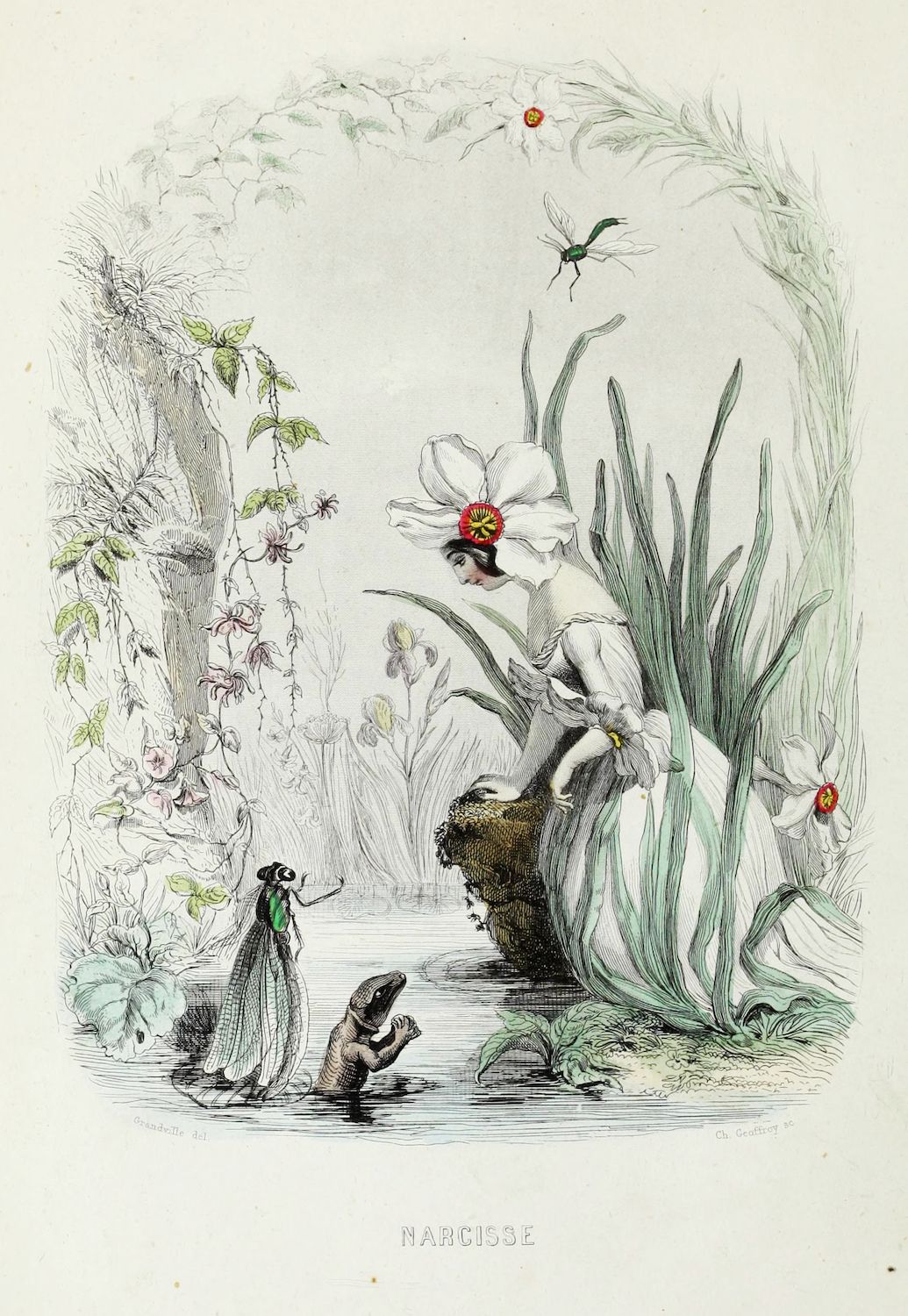 Vintage illustration of Narcissus gazing at his reflection in a flower, surrounded by plants and insects.