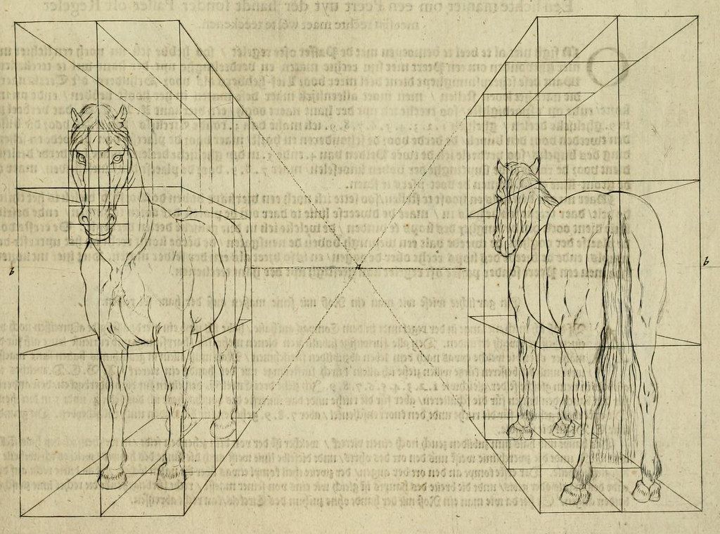 Vintage illustration of a horse in perspective grids.