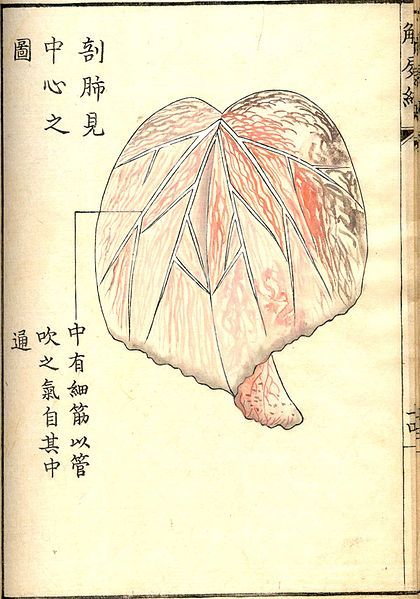Vintage anatomical illustration of a heart with Chinese text.
