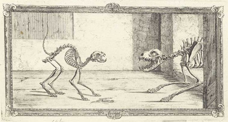 An engraving of two skeletal dogs facing each other in a room, framed by an ornate border.