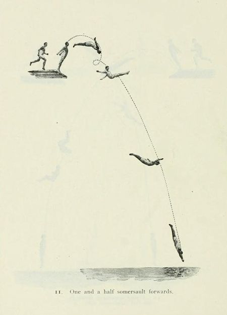 Vintage illustration of a diver performing a one and a half somersault forward dive into water.