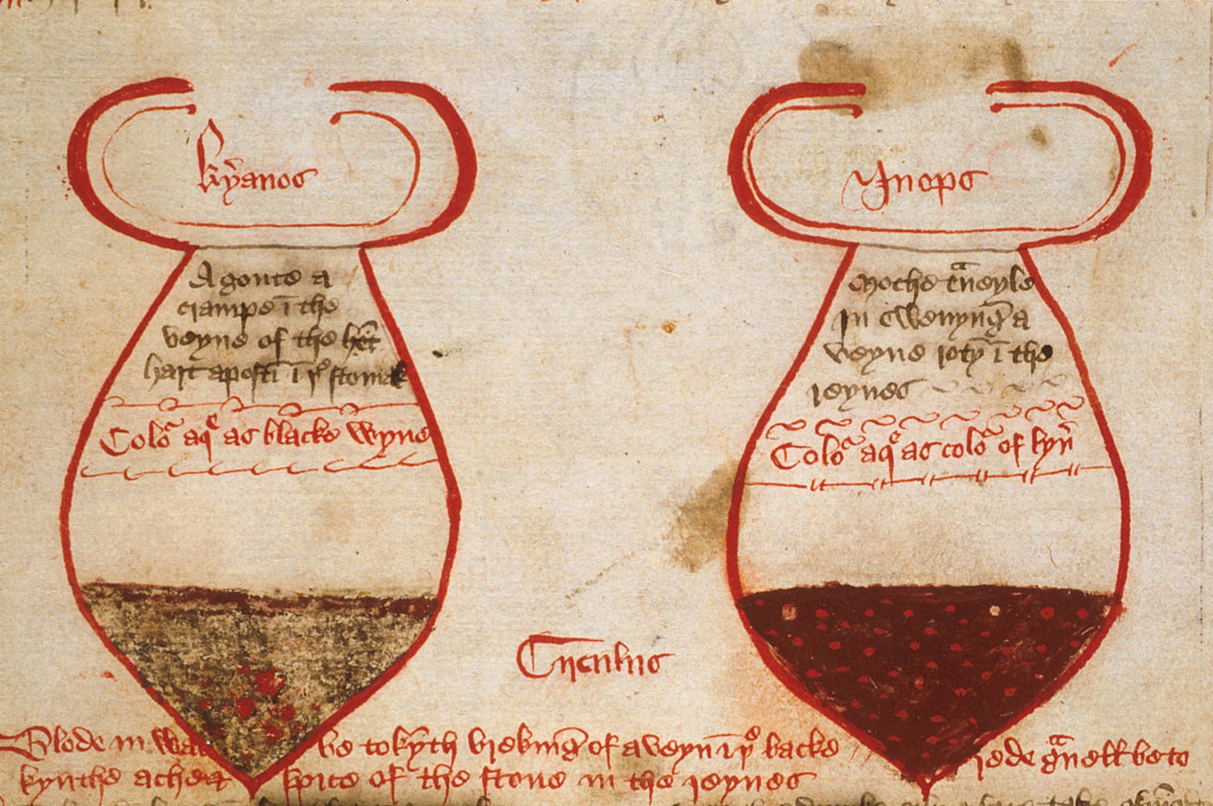 A close-up of a page from an old manuscript, featuring two detailed, hand-drawn illustrations of vials or flasks filled with a dark red liquid.