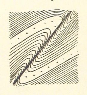 A black and white sketch with vertical lines and curved lines resembling waves or ripples.