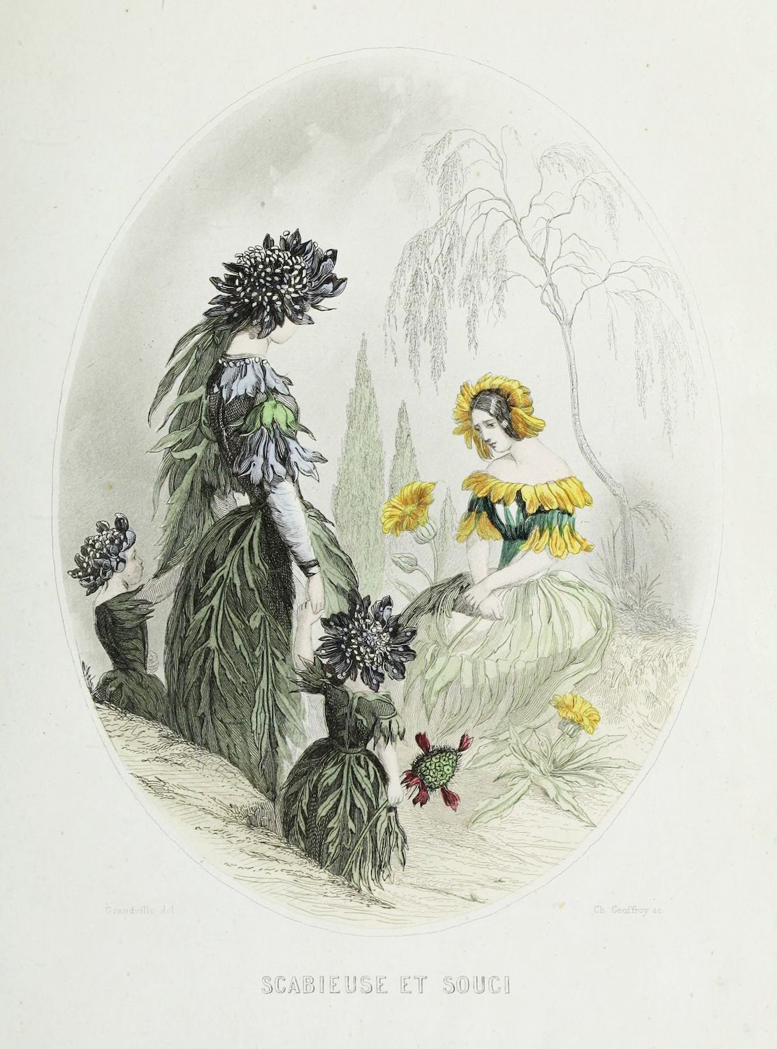 Vintage illustration of a bird standing next to a plant.