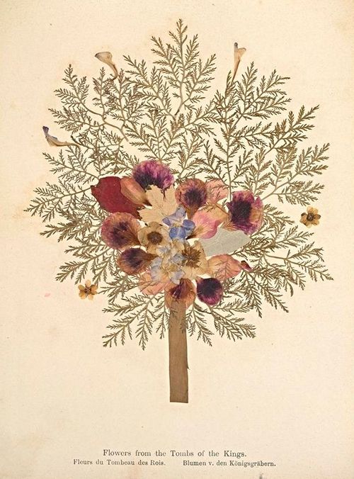 A vintage botanical illustration of a flower arrangement resembling a small tree, composed of dried flowers in shades of purple, red, and yellow, with a small bird perched on a branch.