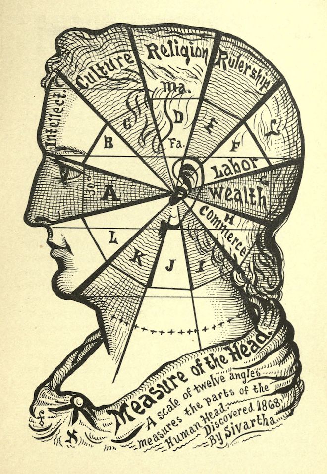 Vintage illustration of a man's head with a phrenological chart overlaid, labeled with concepts like intellect, culture, religion, and commerce.